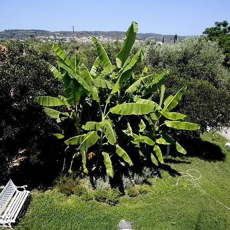 Hotel Aggelos 2*