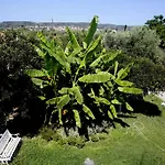 Hotel Aggelos 2*