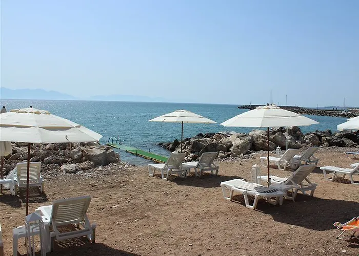 Aggelos Hotel Agios Andreas (Messenia)